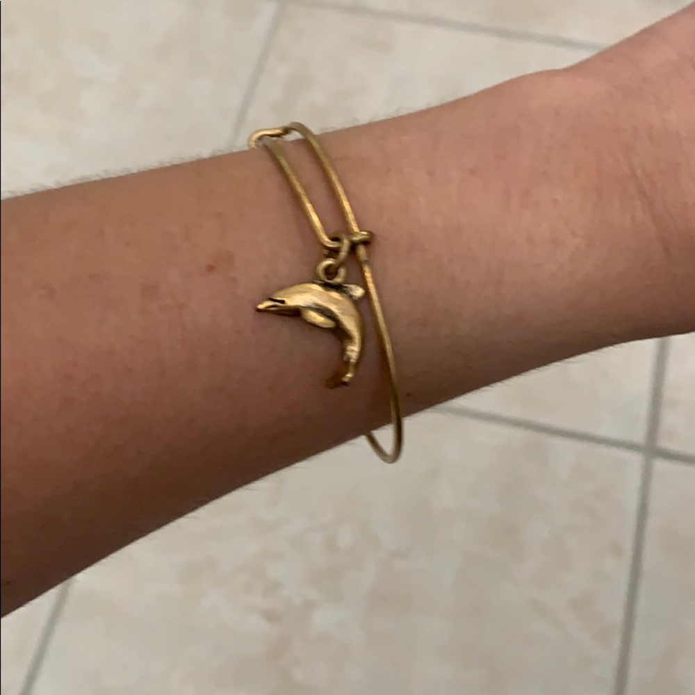 Alex and Ani energy dolphin bangle bracelet